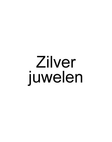 De Laatste Collecties Zilveren Juwelen Online Kopen Bij Juwelier