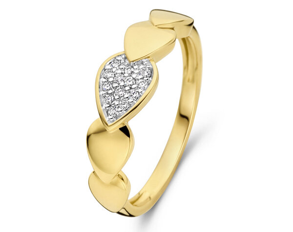 067224A Gouden ring 18kt