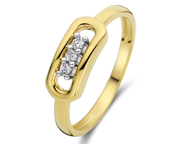 067195A Gouden ring 18kt