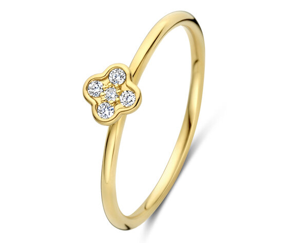 067054A Gouden ring 18kt