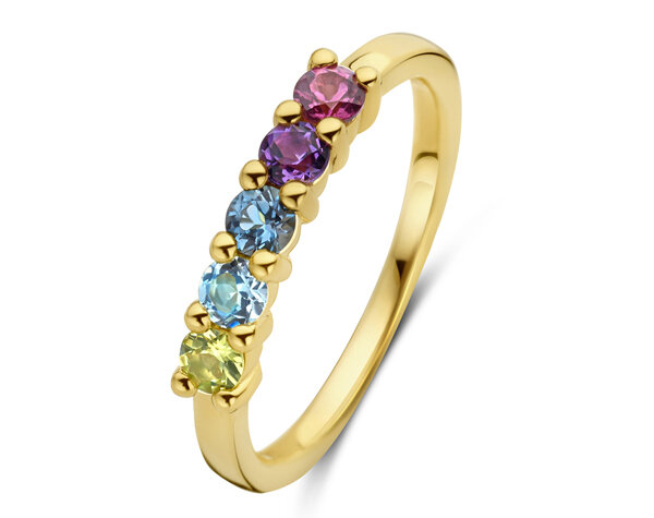 0667095K Gouden ring 18kt