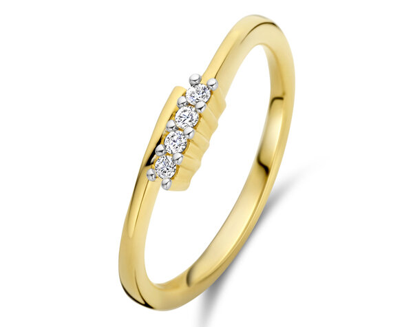 067329A Gouden ring 18kt