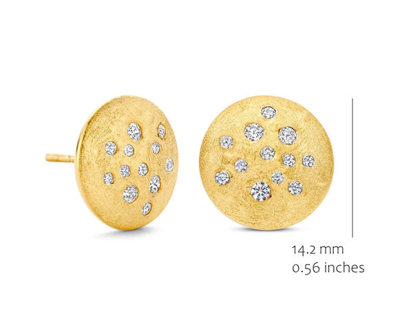 EA2569GB Silver Rose juwelen