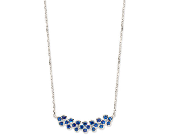 CH2600BLU Silver Rose juwelen