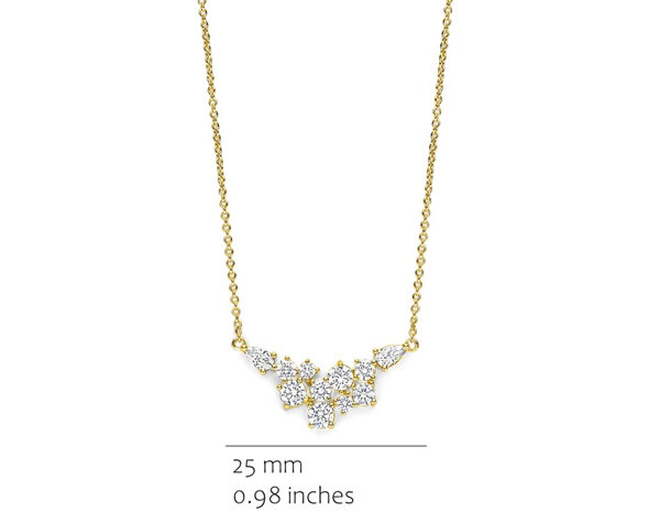 CH2638GZ Silver Rose juwelen