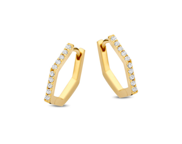 N6H58 Naiomy Silver Zilveren Oorbellen voor Dames