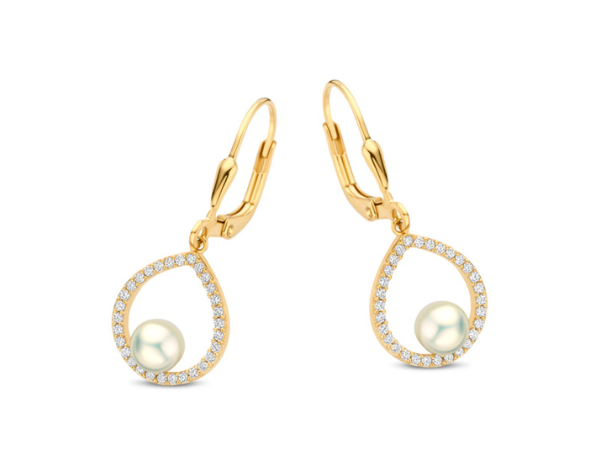 N6I75 Naiomy Silver Zilveren Oorbellen voor Dames