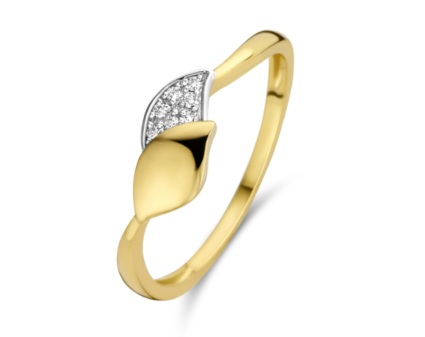 063148A Gouden ring 18kt