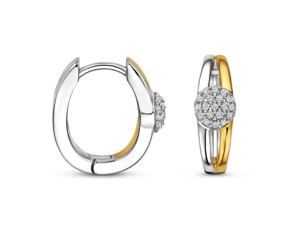 N6P62 Naiomy Silver Zilveren Oorbellen voor Dames