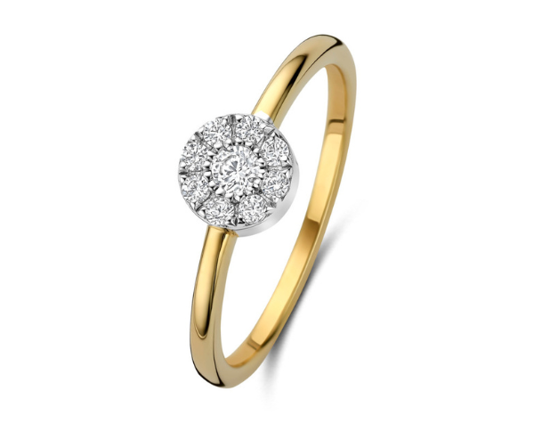 N6S54 Naiomy Silver Zilveren Ring voor Dames
