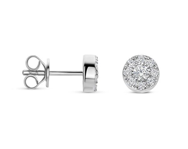 N6S56 Naiomy Silver Zilveren Oorbellen voor Dames