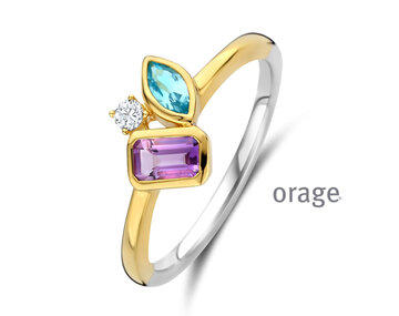 BB001 Orage