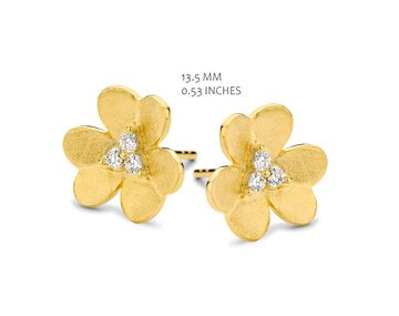 EA2348GB Silver Rose juwelen