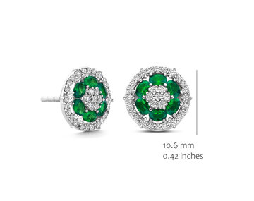 EA2568GR-S Silver Rose juwelen