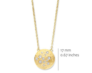 P2569GB Silver Rose juwelen