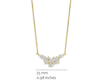 CH2638GZ Silver Rose juwelen