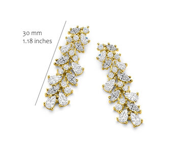 EA2640G Silver Rose juwelen