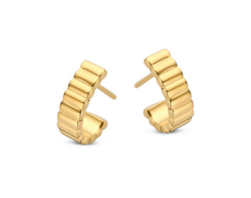 N6I62 Naiomy Silver Zilveren Oorbellen voor Dames