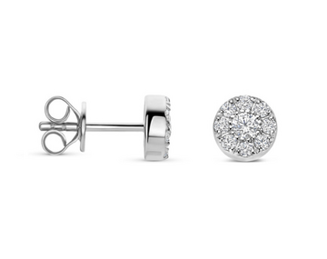N6S56 Naiomy Silver Zilveren Oorbellen voor Dames