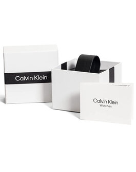 25200197 Calvin Klein watch