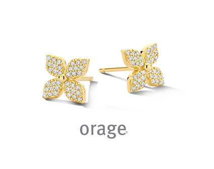 BB172 Orage