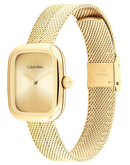 25100099 Calvin klein