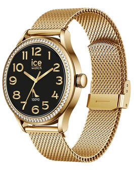 025316 Ice Smart ST 2.0