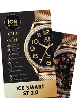 025317 Ice Smart ST 2.0