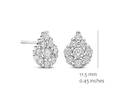 EA2578W-1 Silver Rose juwelen