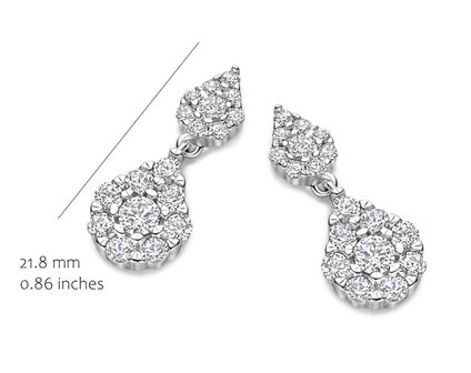 EA2578W-2 Silver Rose juwelen