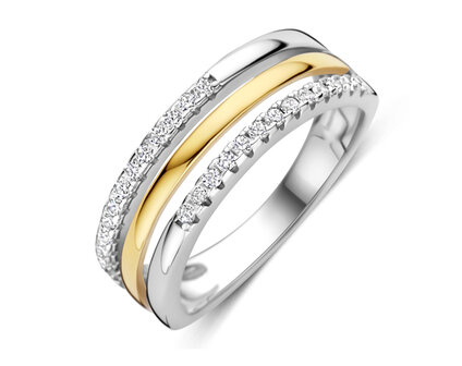 R2556G Silver Rose juwelen