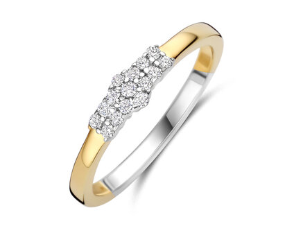 R2574G Silver Rose juwelen