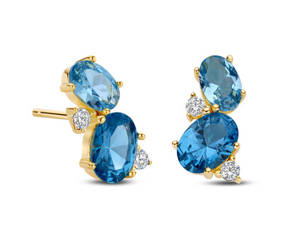 EA2563AQ Silver Rose juwelen