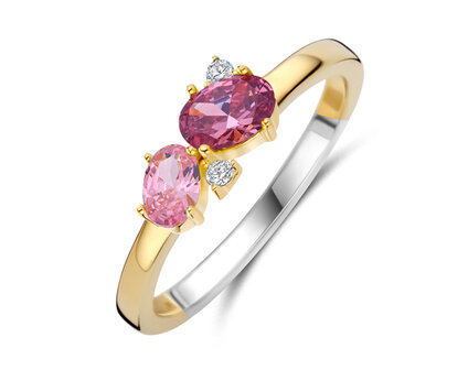 R2564P Silver Rose juwelen