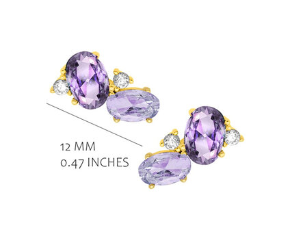 EA2563LA Silver Rose juwelen