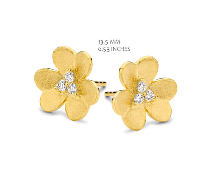 EA2348GB Silver Rose juwelen