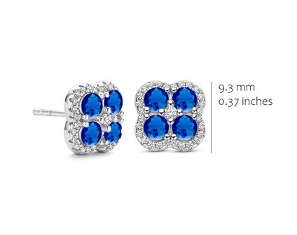 EA2562BLU-S Silver Rose juwelen