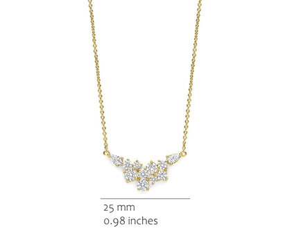 CH2638GZ Silver Rose juwelen