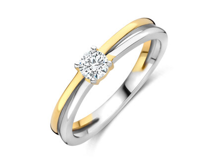 R2615G Silver Rose juwelen