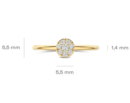 1277YZI Blush juwelen