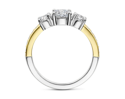12044ZY  Ti Sento Milano Zilveren Ring