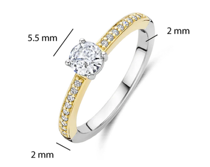 12109ZY  Ti Sento Milano Zilveren Ring