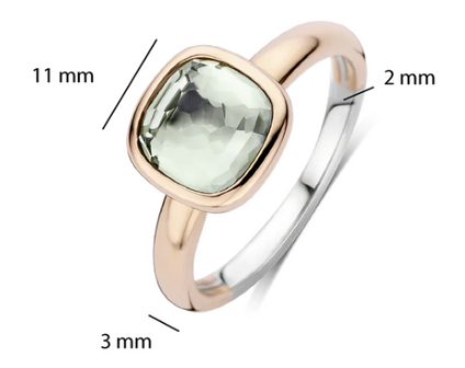 12415GR Ti Sento Milano Zilveren Ring