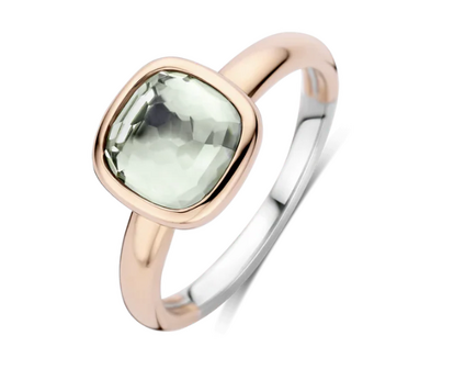 12415GR Ti Sento Milano Zilveren Ring