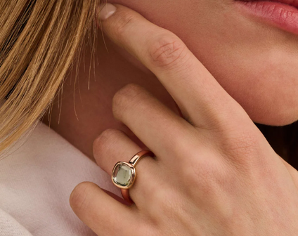 12415GR Ti Sento Milano Zilveren Ring