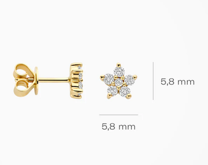 LG7018Y Blush 14kt gouden oorringen Dames