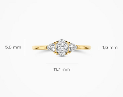 LG1039Y Blush 14kt gouden ring met lab grown diamant
