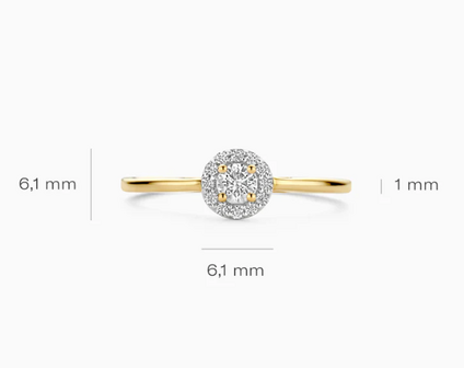 LG1023Y Blush 14kt gouden ring met lab grown diamant