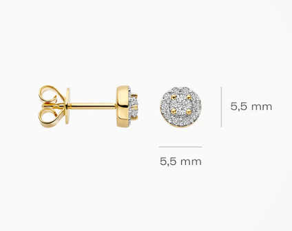 LG7011Y Blush 14kt gouden oorringen Dames