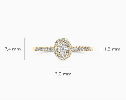 LG1045Y Blush 14kt gouden ring met lab grown diamant